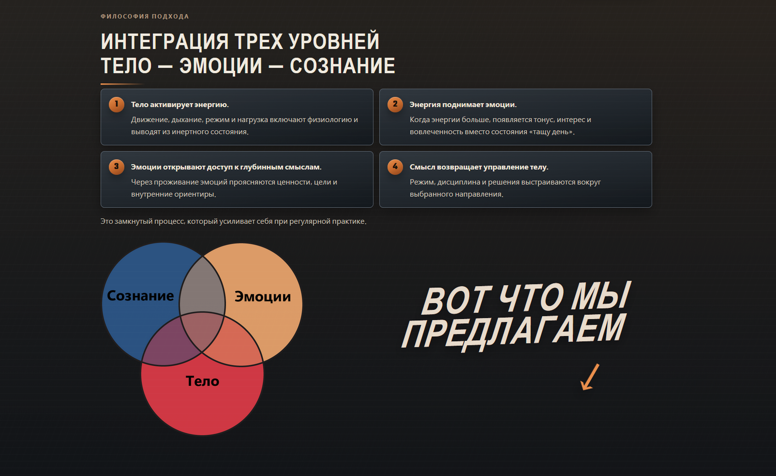 ANIMUS: встреча в офисе